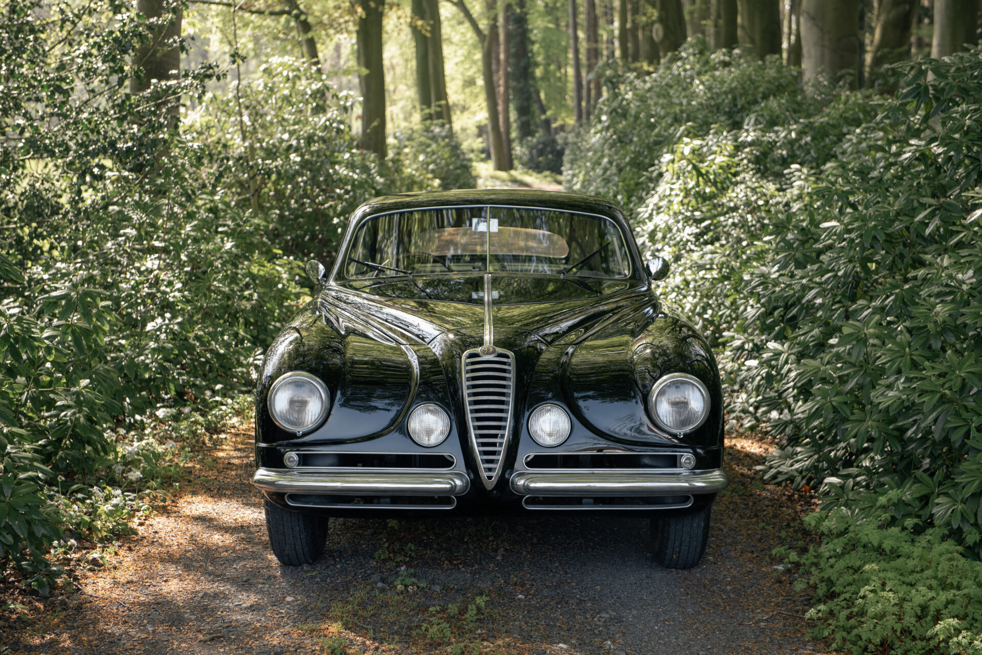 1951 Alfa Romeo 6C 2500SS Villa D'este