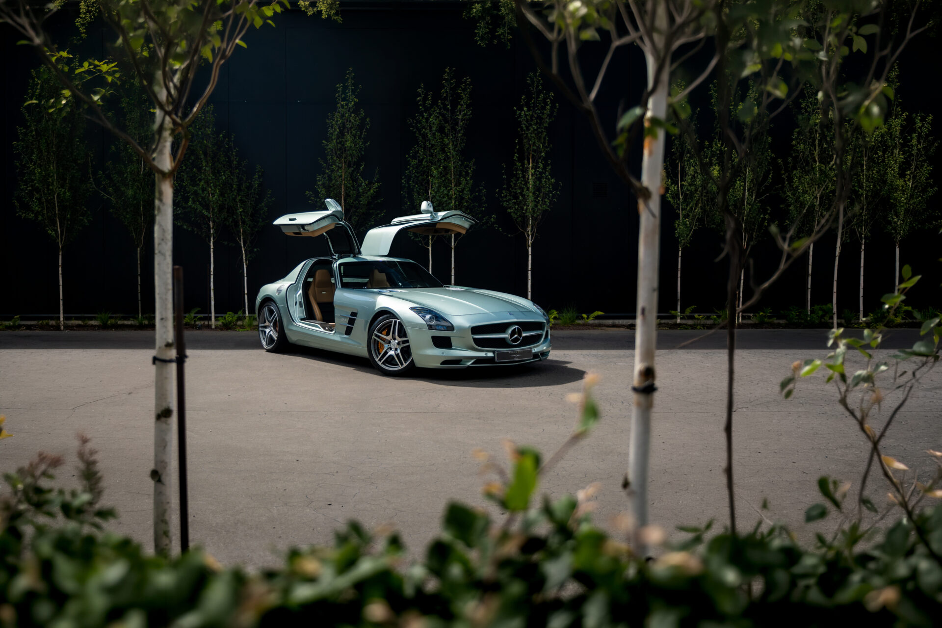 2010 Mercedes-Benz SLS AMG